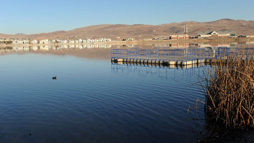 Nevada Marina-Dead Fi_Cham640.jpg